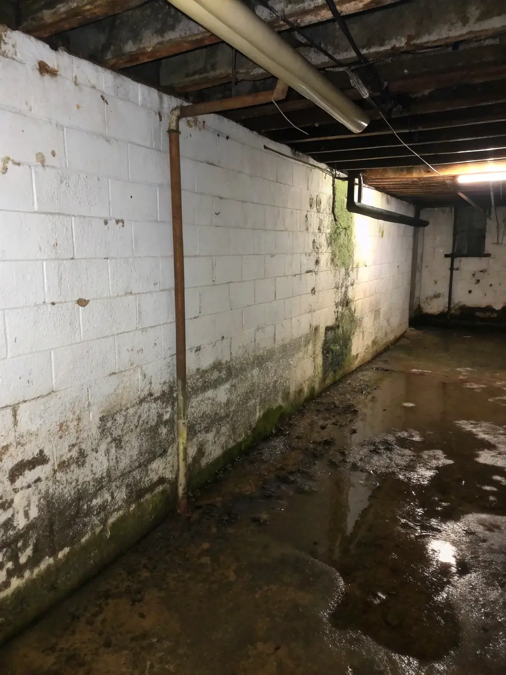 A flooded basement with water reaching halfway up the walls, showcasing the aftermath of water damage requiring professional restoration services.